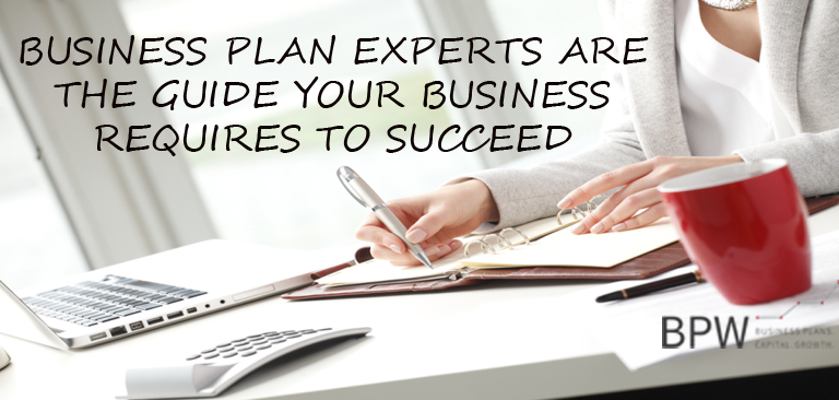 Business plan writers