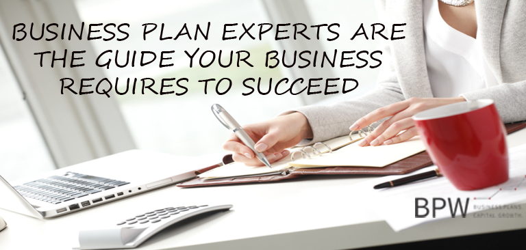 expert business plan writers