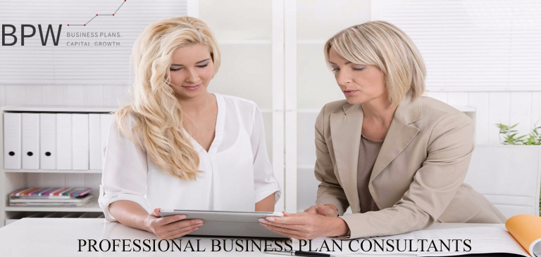 business plan consultants