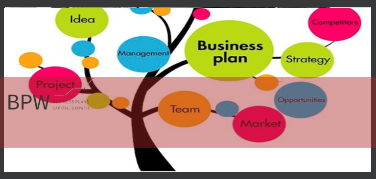 business plan consultants
